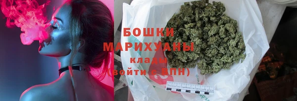 молекула духа Арсеньев