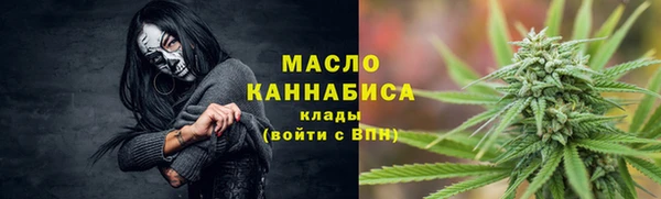 молекула духа Арсеньев