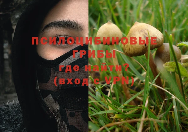молекула духа Арсеньев