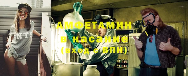молекула духа Арсеньев