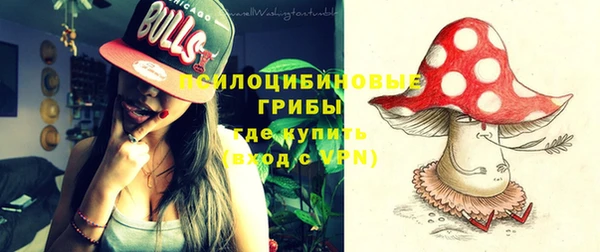 молекула духа Арсеньев