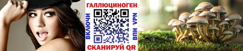 Галлюциногенные грибы Cubensis гидра как зайти Райчихинск